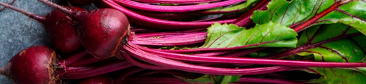 Research - Beetroot Powder